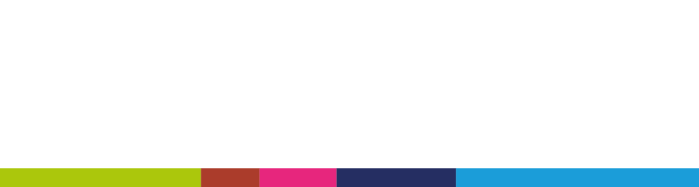 Flexpricer logo_no strapline Wht text-01 1000 x 268